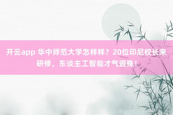 开云app 华中师范大学怎样样？20位印尼校长来研修，东谈主工智能才气迥殊！