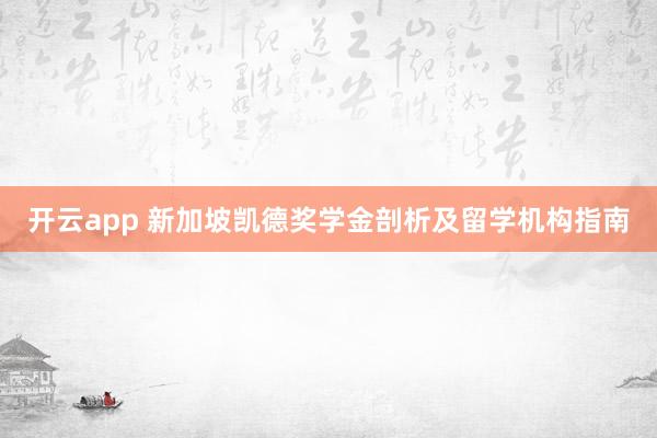开云app 新加坡凯德奖学金剖析及留学机构指南