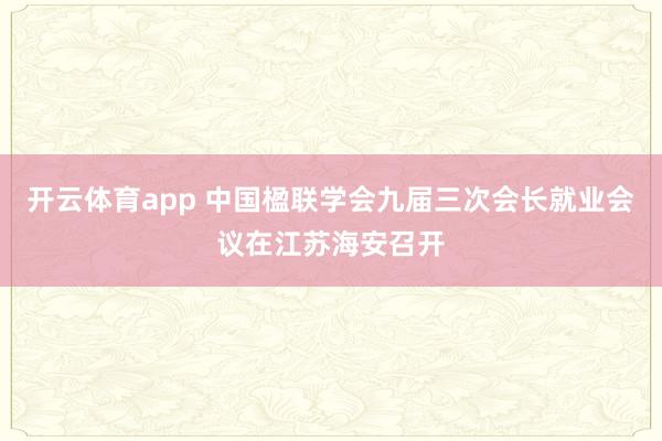开云体育app 中国楹联学会九届三次会长就业会议在江苏海安召开