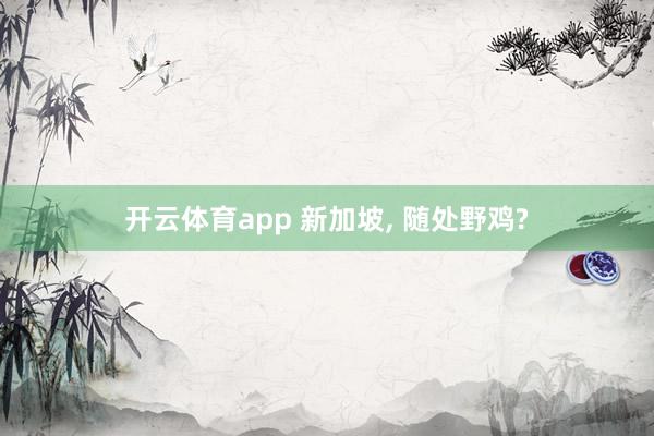 开云体育app 新加坡, 随处野鸡?